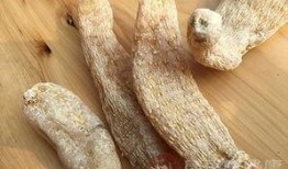 天麻豆的功效,滋补养生，益智安神的天然瑰宝